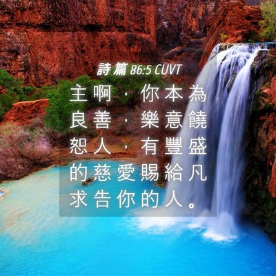 Picture 04 - 詩 篇 86:5 CUVT - 主 啊 ， 你 本 為 良 善 ， 樂 意 饒 - Bible Verse Picture