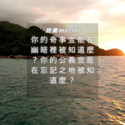 Picture 04 - 詩 篇 88:12 CUVT - 你 的 奇 事 豈 能 在 幽 暗 裡 被 知 - Bible Verse Picture