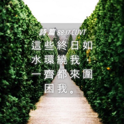 Picture 04 - 詩 篇 88:17 CUVT - 這 些 終 日 如 水 環 繞 我 ， 一 齊 - Bible Verse Picture
