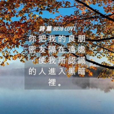 Picture 04 - 詩 篇 88:18 CUVT - 你 把 我 的 良 朋 密 友 隔 在 遠 處 - Bible Verse Picture