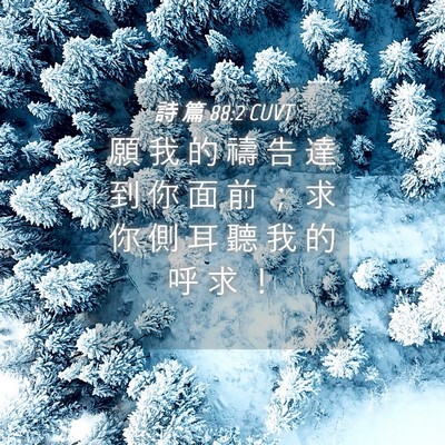 Picture 04 - 詩 篇 88:2 CUVT - 願 我 的 禱 告 達 到 你 面 前 ； 求 - Bible Verse Picture