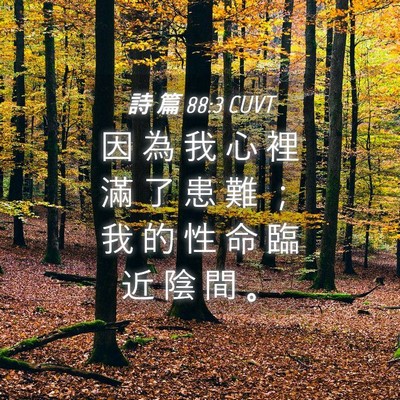 Picture 04 - 詩 篇 88:3 CUVT - 因 為 我 心 裡 滿 了 患 難 ； 我 的 - Bible Verse Picture