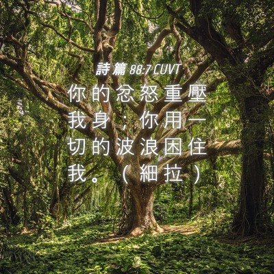 Picture 04 - 詩 篇 88:7 CUVT - 你 的 忿 怒 重 壓 我 身 ； 你 用 一 - Bible Verse Picture