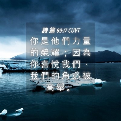 Picture 04 - 詩 篇 89:17 CUVT - 你 是 他 們 力 量 的 榮 耀 ； 因 為 - Bible Verse Picture