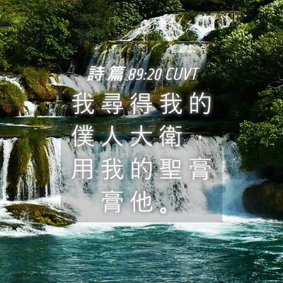 Picture 04 - 詩 篇 89:20 CUVT - 我 尋 得 我 的 僕 人 大 衛 ， 用 我 - Bible Verse Picture