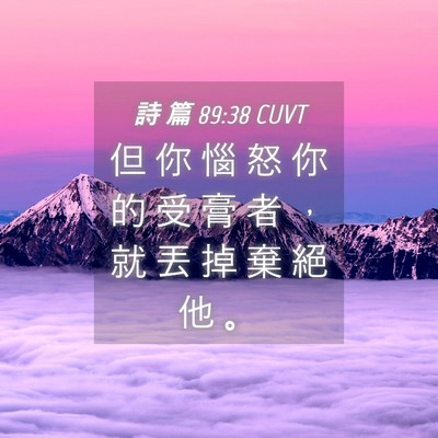 Picture 04 - 詩 篇 89:38 CUVT - 但 你 惱 怒 你 的 受 膏 者 ， 就 丟 - Bible Verse Picture