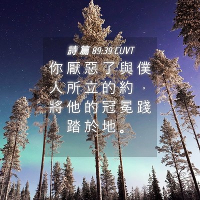 Picture 04 - 詩 篇 89:39 CUVT - 你 厭 惡 了 與 僕 人 所 立 的 約 ， - Bible Verse Picture