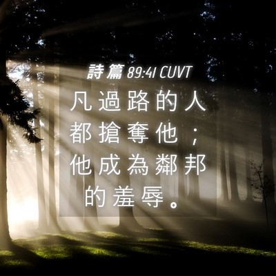 Picture 04 - 詩 篇 89:41 CUVT - 凡 過 路 的 人 都 搶 奪 他 ； 他 成 - Bible Verse Picture