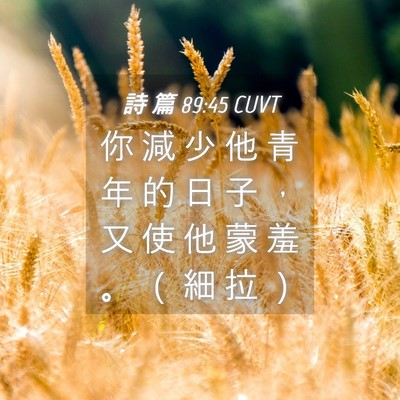 Picture 04 - 詩 篇 89:45 CUVT - 你 減 少 他 青 年 的 日 子 ， 又 使 - Bible Verse Picture