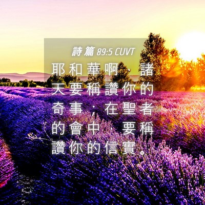 Picture 04 - 詩 篇 89:5 CUVT - 耶 和 華 啊 ， 諸 天 要 稱 讚 你 的 - Bible Verse Picture