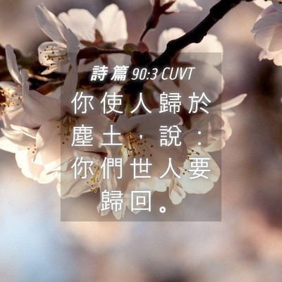 Picture 04 - 詩 篇 90:3 CUVT - 你 使 人 歸 於 塵 土 ， 說 ： 你 們 - Bible Verse Picture