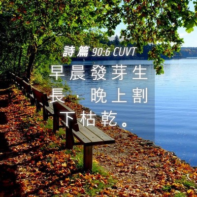Picture 04 - 詩 篇 90:6 CUVT - 早 晨 發 芽 生 長 ， 晚 上 割 下 枯 - Bible Verse Picture