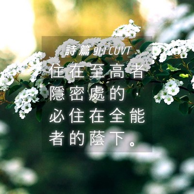 Picture 04 - 詩 篇 91:1 CUVT - 住 在 至 高 者 隱 密 處 的 ， 必 住 - Bible Verse Picture