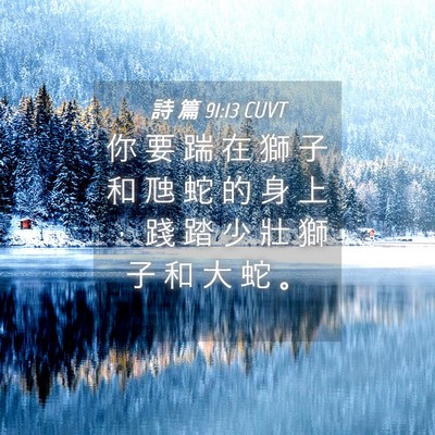 Picture 04 - 詩 篇 91:13 CUVT - 你 要 踹 在 獅 子 和 虺 蛇 的 身 上 - Bible Verse Picture