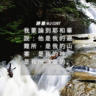 Picture 04 - 詩 篇 91:2 CUVT - 我 要 論 到 耶 和 華 說 ： 他 是 我 - Bible Verse Picture