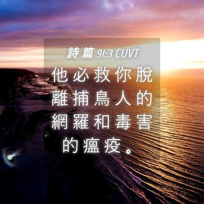 Picture 04 - 詩 篇 91:3 CUVT - 他 必 救 你 脫 離 捕 鳥 人 的 網 羅 - Bible Verse Picture
