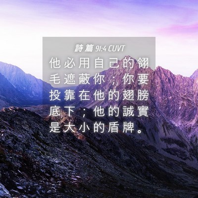 Picture 04 - 詩 篇 91:4 CUVT - 他 必 用 自 己 的 翎 毛 遮 蔽 你 ； - Bible Verse Picture