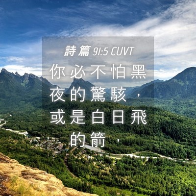 Picture 04 - 詩 篇 91:5 CUVT - 你 必 不 怕 黑 夜 的 驚 駭 ， 或 是 - Bible Verse Picture