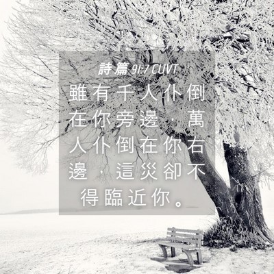 Picture 04 - 詩 篇 91:7 CUVT - 雖 有 千 人 仆 倒 在 你 旁 邊 ， 萬 - Bible Verse Picture