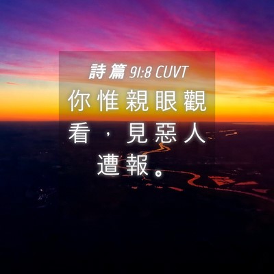 Picture 04 - 詩 篇 91:8 CUVT - 你 惟 親 眼 觀 看 ， 見 惡 人 遭 報 - Bible Verse Picture
