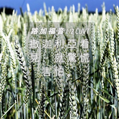 Picture 04 - 路 加 福 音 1:12 CUVT - 撒 迦 利 亞 看 見 ， 就 驚 慌 害 怕 - Bible Verse Picture