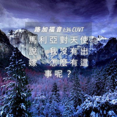 Picture 04 - 路 加 福 音 1:34 CUVT - 馬 利 亞 對 天 使 說 ： 我 沒 有 出 - Bible Verse Picture