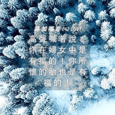 Picture 04 - 路 加 福 音 1:42 CUVT - 高 聲 喊 著 說 ： 你 在 婦 女 中 是 - Bible Verse Picture