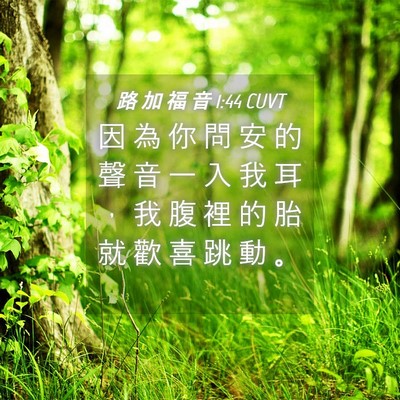 Picture 04 - 路 加 福 音 1:44 CUVT - 因 為 你 問 安 的 聲 音 一 入 我 耳 - Bible Verse Picture
