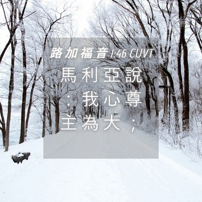 Picture 04 - 路 加 福 音 1:46 CUVT - 馬 利 亞 說 ： 我 心 尊 主 為 大 - Bible Verse Picture