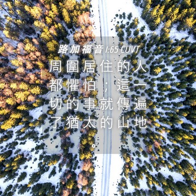 Picture 04 - 路 加 福 音 1:65 CUVT - 周 圍 居 住 的 人 都 懼 怕 ； 這 一 - Bible Verse Picture