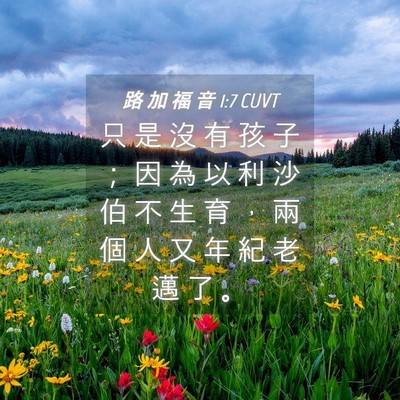Picture 04 - 路 加 福 音 1:7 CUVT - 只 是 沒 有 孩 子 ； 因 為 以 利 沙 - Bible Verse Picture