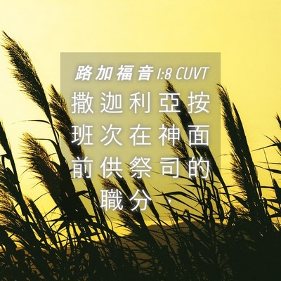 Picture 04 - 路 加 福 音 1:8 CUVT - 撒 迦 利 亞 按 班 次 在 神 面 前 供 - Bible Verse Picture