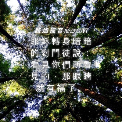 Picture 04 - 路 加 福 音 10:23 CUVT - 耶 穌 轉 身 暗 暗 的 對 門 徒 說 ： - Bible Verse Picture