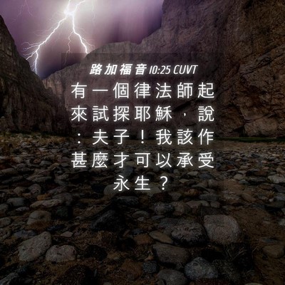 Picture 04 - 路 加 福 音 10:25 CUVT - 有 一 個 律 法 師 起 來 試 探 耶 穌 - Bible Verse Picture