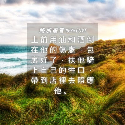 Picture 04 - 路 加 福 音 10:34 CUVT - 上 前 用 油 和 酒 倒 在 他 的 傷 處 - Bible Verse Picture