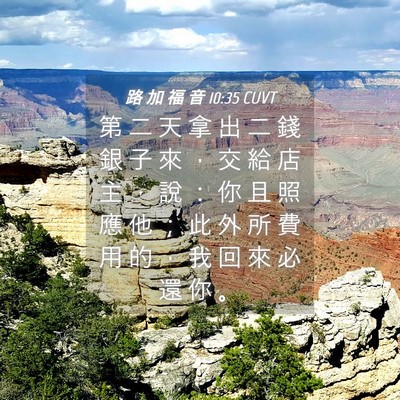 Picture 04 - 路 加 福 音 10:35 CUVT - 第 二 天 拿 出 二 錢 銀 子 來 ， 交 - Bible Verse Picture