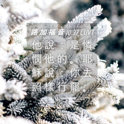 Picture 04 - 路 加 福 音 10:37 CUVT - 他 說 ： 是 憐 憫 他 的 。 耶 穌 說 - Bible Verse Picture