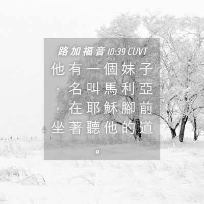 Picture 04 - 路 加 福 音 10:39 CUVT - 他 有 一 個 妹 子 ， 名 叫 馬 利 亞 - Bible Verse Picture