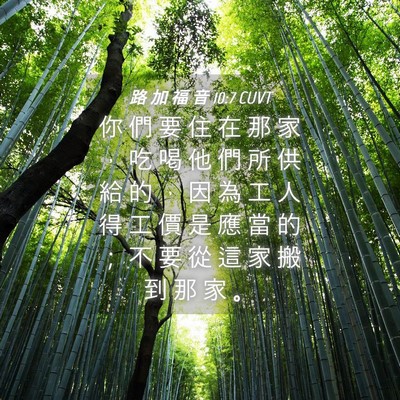Picture 04 - 路 加 福 音 10:7 CUVT - 你 們 要 住 在 那 家 ， 吃 喝 他 們 - Bible Verse Picture