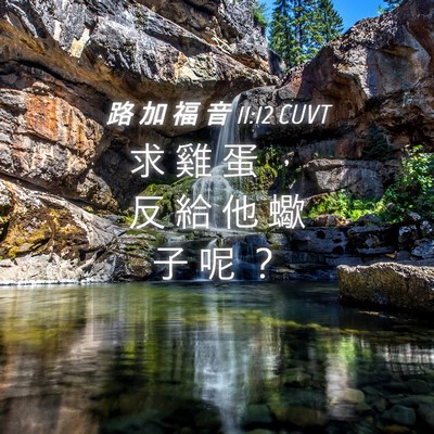 Picture 04 - 路 加 福 音 11:12 CUVT - 求 雞 蛋 ， 反 給 他 蠍 子 呢 - Bible Verse Picture