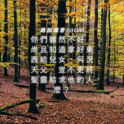 Picture 04 - 路 加 福 音 11:13 CUVT - 你 們 雖 然 不 好 ， 尚 且 知 道 拿 - Bible Verse Picture