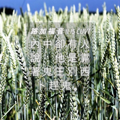 Picture 04 - 路 加 福 音 11:15 CUVT - 內 中 卻 有 人 說 ： 他 是 靠 著 鬼 - Bible Verse Picture