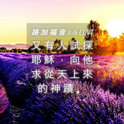 Picture 04 - 路 加 福 音 11:16 CUVT - 又 有 人 試 探 耶 穌 ， 向 他 求 從 - Bible Verse Picture