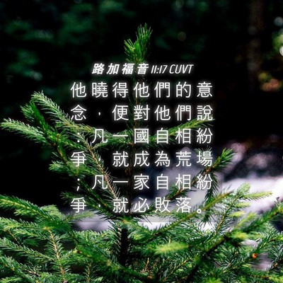 Picture 04 - 路 加 福 音 11:17 CUVT - 他 曉 得 他 們 的 意 念 ， 便 對 他 - Bible Verse Picture