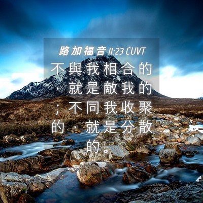 Picture 04 - 路 加 福 音 11:23 CUVT - 不 與 我 相 合 的 ， 就 是 敵 我 的 - Bible Verse Picture