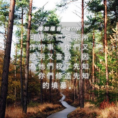 Picture 04 - 路 加 福 音 11:48 CUVT - 可 見 你 們 祖 宗 所 作 的 事 ， 你 - Bible Verse Picture