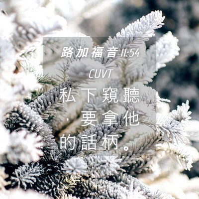 Picture 04 - 路 加 福 音 11:54 CUVT - 私 下 窺 聽 ， 要 拿 他 的 話 柄 - Bible Verse Picture