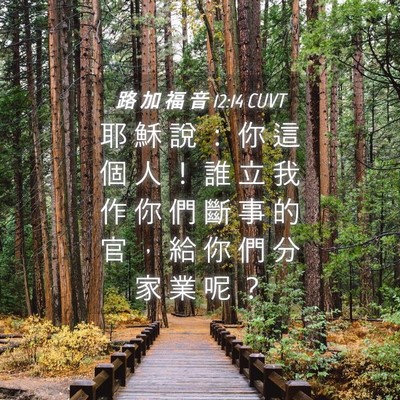 Picture 04 - 路 加 福 音 12:14 CUVT - 耶 穌 說 ： 你 這 個 人 ！ 誰 立 我 - Bible Verse Picture