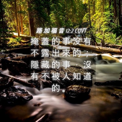Picture 04 - 路 加 福 音 12:2 CUVT - 掩 蓋 的 事 沒 有 不 露 出 來 的 ； - Bible Verse Picture