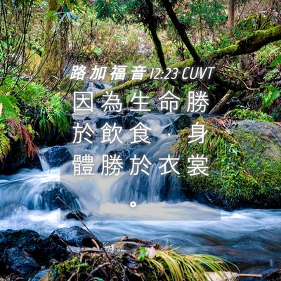 Picture 04 - 路 加 福 音 12:23 CUVT - 因 為 生 命 勝 於 飲 食 ， 身 體 勝 - Bible Verse Picture